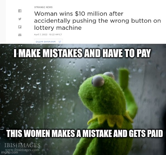 somthing | I MAKE MISTAKES AND HAVE TO PAY; THIS WOMEN MAKES A MISTAKE AND GETS PAID | image tagged in kermit window,news article | made w/ Imgflip meme maker