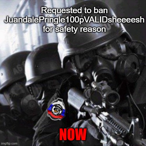 now | Requested to ban JuandalePringle100pVALIDsheeeesh for safety reason; NOW | image tagged in anti-anime task force - unit mazhat-4 remastered | made w/ Imgflip meme maker