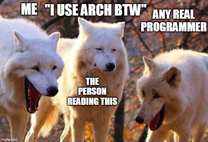 Laughing wolf | "I USE ARCH BTW"; ME; ANY REAL PROGRAMMER; THE PERSON READING THIS | image tagged in laughing wolf,memes | made w/ Imgflip meme maker