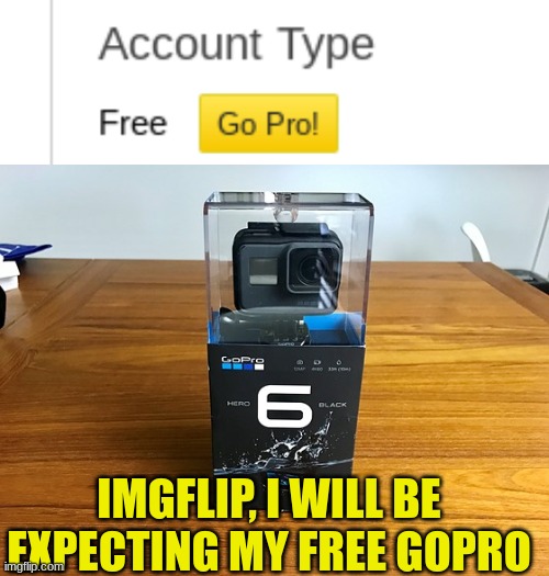 It says That they will be giving me one!! | IMGFLIP, I WILL BE EXPECTING MY FREE GOPRO | image tagged in fun | made w/ Imgflip meme maker