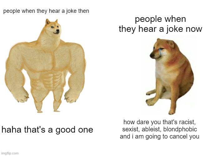 free vanilla sugar | people when they hear a joke then; people when they hear a joke now; haha that's a good one; how dare you that's racist, sexist, ableist, blondphobic and i am going to cancel you | image tagged in memes,buff doge vs cheems | made w/ Imgflip meme maker