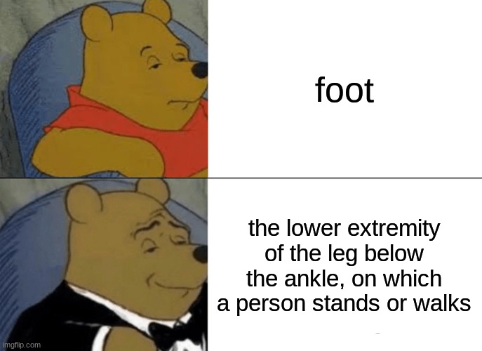 Smrt, you can't say foot anymore | foot; the lower extremity of the leg below the ankle, on which a person stands or walks | image tagged in memes,tuxedo winnie the pooh | made w/ Imgflip meme maker