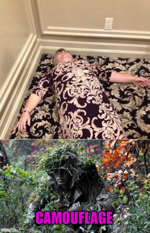 CAMOUFLAGE | image tagged in camouflage | made w/ Imgflip meme maker