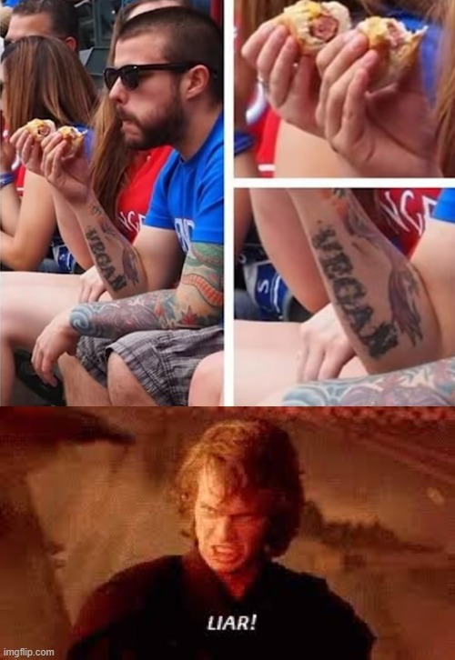 image tagged in anakin liar | made w/ Imgflip meme maker