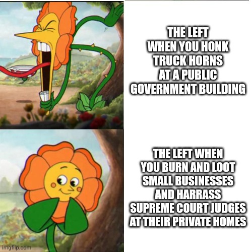 The left: ItS oK wHeN wE dO iT | THE LEFT WHEN YOU HONK TRUCK HORNS AT A PUBLIC GOVERNMENT BUILDING; THE LEFT WHEN YOU BURN AND LOOT SMALL BUSINESSES AND HARRASS SUPREME COURT JUDGES AT THEIR PRIVATE HOMES | image tagged in cuphead flower,protest,rioters,liberal hypocrisy,liberal logic,violence is never the answer | made w/ Imgflip meme maker