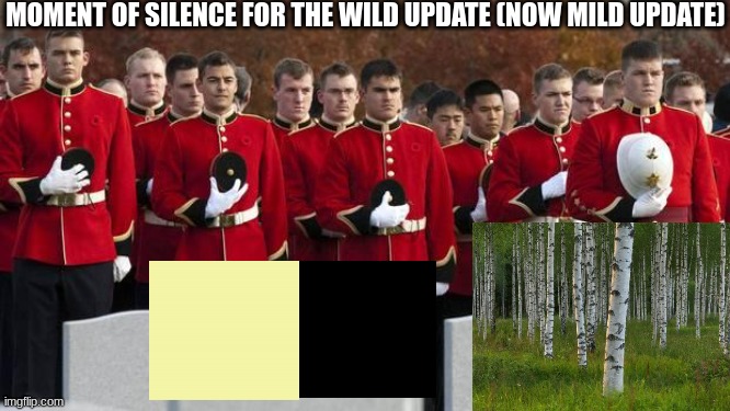 rip | MOMENT OF SILENCE FOR THE WILD UPDATE (NOW MILD UPDATE) | image tagged in moment of silence | made w/ Imgflip meme maker