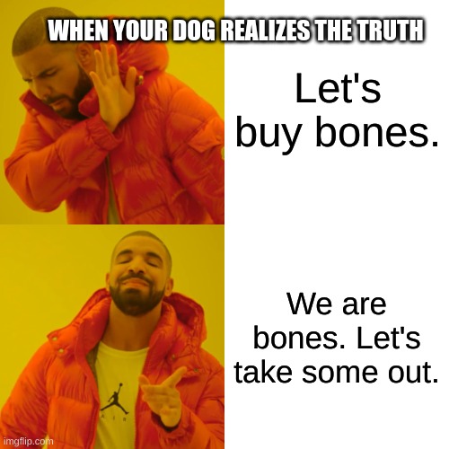 Dogs and Bones be like | WHEN YOUR DOG REALIZES THE TRUTH; Let's buy bones. We are bones. Let's take some out. | image tagged in memes,drake hotline bling | made w/ Imgflip meme maker