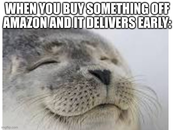 I feel really good when this happens | WHEN YOU BUY SOMETHING OFF AMAZON AND IT DELIVERS EARLY: | image tagged in satisfied seal | made w/ Imgflip meme maker