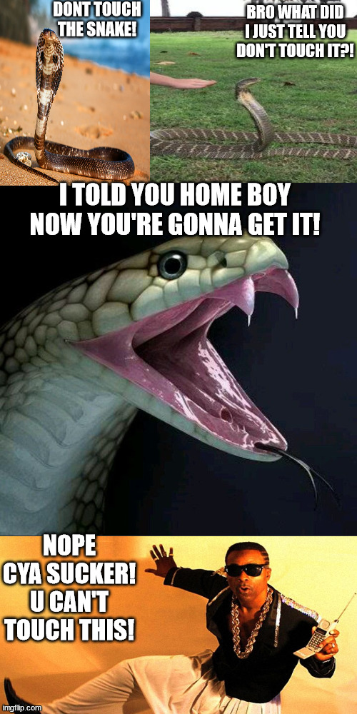 Don't touch it! | DONT TOUCH THE SNAKE! BRO WHAT DID I JUST TELL YOU DON'T TOUCH IT?! I TOLD YOU HOME BOY NOW YOU'RE GONNA GET IT! NOPE CYA SUCKER! U CAN'T TOUCH THIS! | made w/ Imgflip meme maker