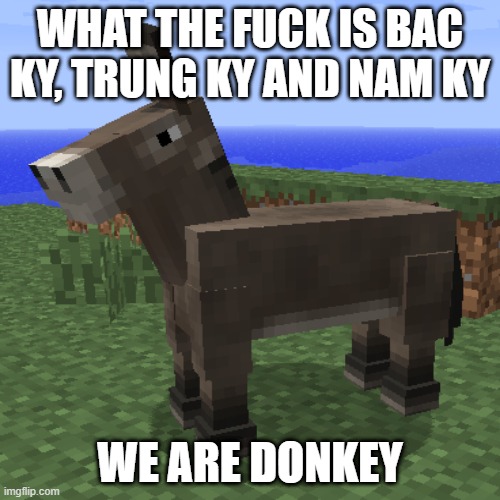 for vietnamese know | WHAT THE FUCK IS BAC KY, TRUNG KY AND NAM KY; WE ARE DONKEY | image tagged in vietnam | made w/ Imgflip meme maker