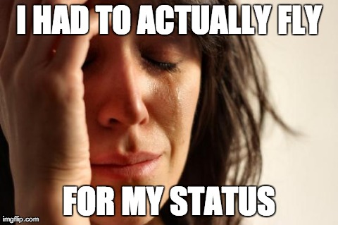 First World Problems Meme | I HAD TO ACTUALLY FLY FOR MY STATUS | image tagged in memes,first world problems | made w/ Imgflip meme maker