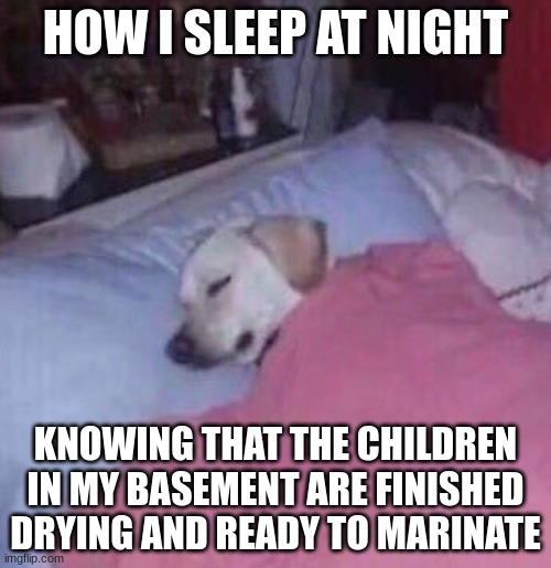 How I sleep at night | HOW I SLEEP AT NIGHT; KNOWING THAT THE CHILDREN IN MY BASEMENT ARE FINISHED DRYING AND READY TO MARINATE | image tagged in how i sleep at night | made w/ Imgflip meme maker