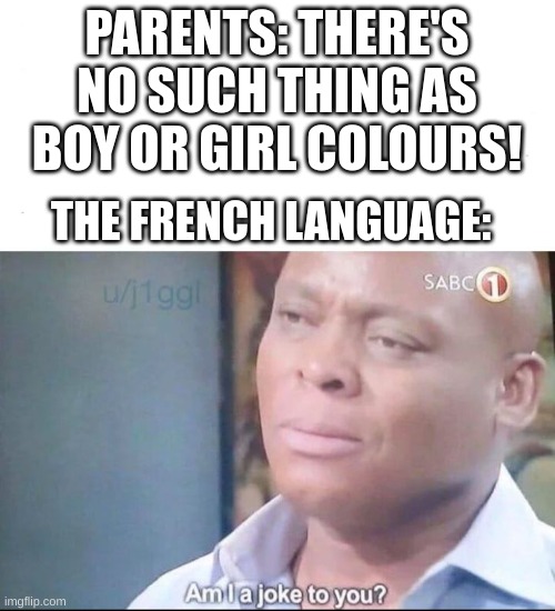 am I a joke to you | PARENTS: THERE'S NO SUCH THING AS BOY OR GIRL COLOURS! THE FRENCH LANGUAGE: | image tagged in am i a joke to you,stop reading the tags | made w/ Imgflip meme maker