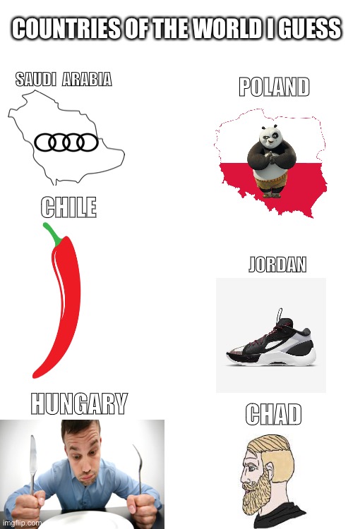Blank White Template | COUNTRIES OF THE WORLD I GUESS; SAUDI  ARABIA; POLAND; CHILE; JORDAN; HUNGARY; CHAD | image tagged in blank white template,puns,countries,memes,funny | made w/ Imgflip meme maker