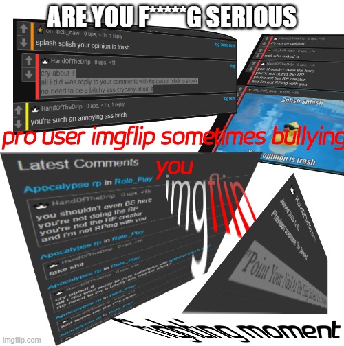 me gets FIGHT | ARE YOU F*****G SERIOUS | image tagged in imgflip users,pro,user,sometimes,gets,fight | made w/ Imgflip meme maker