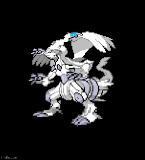 You are a Pokemon trainer inthe Unova reigon trying to catch some Pokemon, and you see this fusion of Zekrom and Reshiram wdyd | image tagged in blank black | made w/ Imgflip meme maker