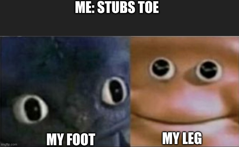 ME: STUBS TOE; MY FOOT; MY LEG | image tagged in blank stare dragon | made w/ Imgflip meme maker
