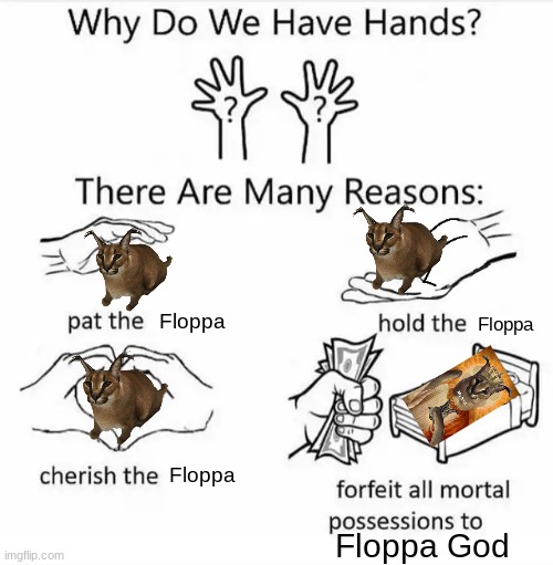 Why Do We Have Hands? | Floppa; Floppa; Floppa; Floppa God | image tagged in why do we have hands all blank | made w/ Imgflip meme maker