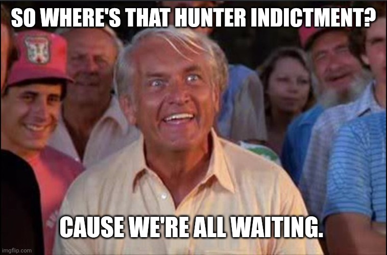 Well we're waiting | SO WHERE'S THAT HUNTER INDICTMENT? CAUSE WE'RE ALL WAITING. | image tagged in well we're waiting | made w/ Imgflip meme maker