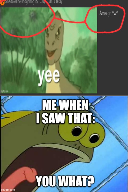 ME WHEN I SAW THAT:; YOU WHAT? | image tagged in you what | made w/ Imgflip meme maker