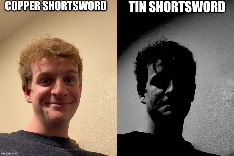copper | COPPER SHORTSWORD; TIN SHORTSWORD | image tagged in thelargepig becoming slightly uncanny,terraria,memes | made w/ Imgflip meme maker