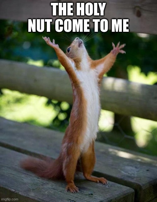 Happy Squirrel | THE HOLY NUT COME TO ME | image tagged in happy squirrel | made w/ Imgflip meme maker