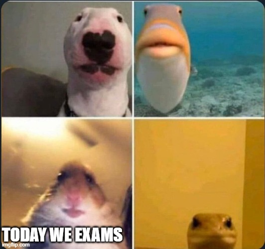 online classes | TODAY WE EXAMS | image tagged in online classes | made w/ Imgflip meme maker