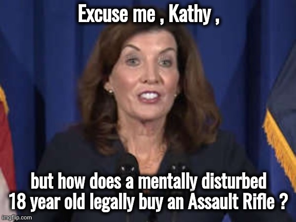 New York , the Criminals safe haven | Excuse me , Kathy , but how does a mentally disturbed 18 year old legally buy an Assault Rifle ? | image tagged in kathy hochul,bail,well yes but actually no,let it go,democrat corruption | made w/ Imgflip meme maker