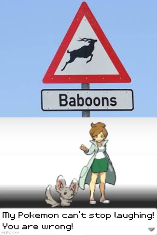 Baboon | image tagged in my pokemon can't stop laughing you are wrong,memes,funny,funny memes,funny signs,meme | made w/ Imgflip meme maker