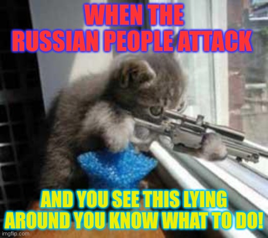 CatSniper | WHEN THE RUSSIAN PEOPLE ATTACK; AND YOU SEE THIS LYING AROUND YOU KNOW WHAT TO DO! | image tagged in catsniper | made w/ Imgflip meme maker
