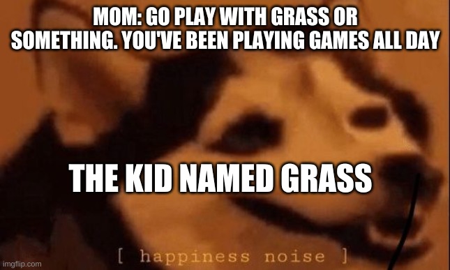 [happiness noise] |  MOM: GO PLAY WITH GRASS OR SOMETHING. YOU'VE BEEN PLAYING GAMES ALL DAY; THE KID NAMED GRASS | image tagged in happiness noise | made w/ Imgflip meme maker
