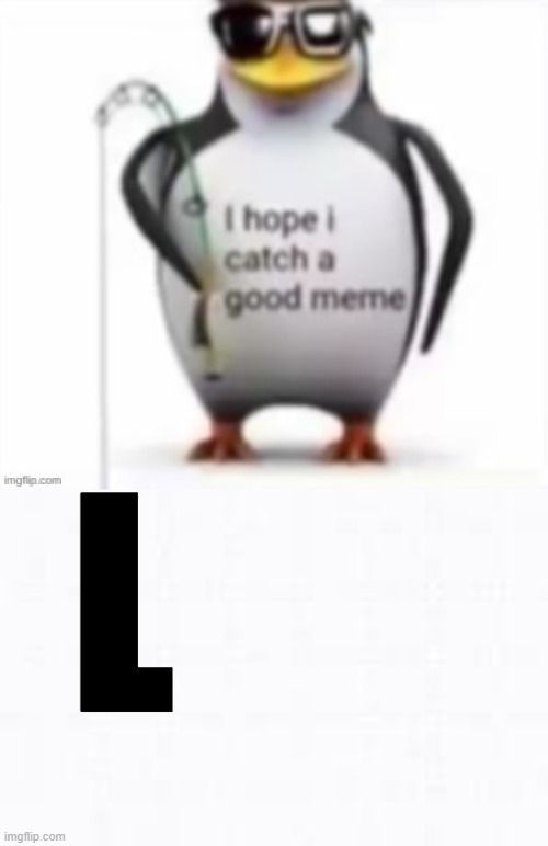 I hope i catch a good meme, L. | image tagged in i hope i catch a good meme l,memes,funny,custom template,oh wow are you actually reading these tags,stop reading the tags | made w/ Imgflip meme maker