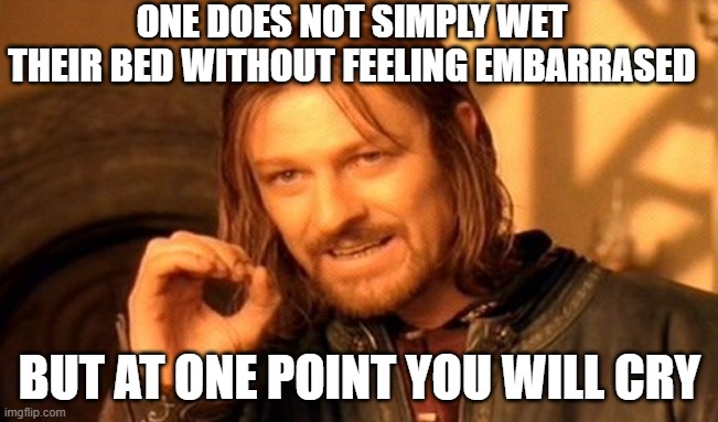 One Does Not Simply Do This......... | ONE DOES NOT SIMPLY WET THEIR BED WITHOUT FEELING EMBARRASED; BUT AT ONE POINT YOU WILL CRY | image tagged in memes,one does not simply | made w/ Imgflip meme maker