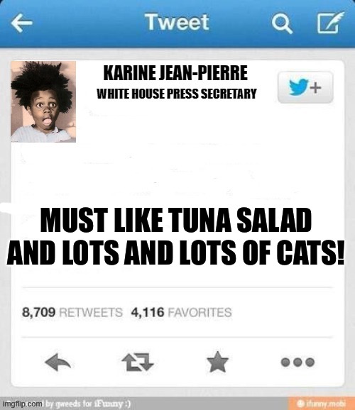 MUST LIKE TUNA SALAD AND LOTS AND LOTS OF CATS! | made w/ Imgflip meme maker
