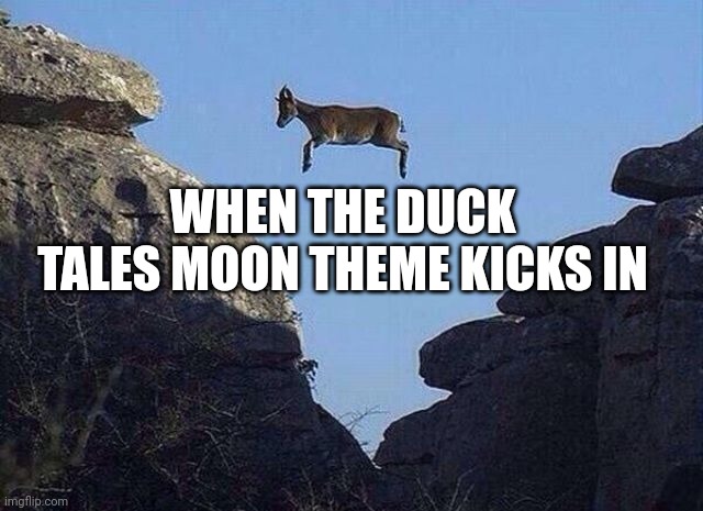 Whatever floats your goat | WHEN THE DUCK TALES MOON THEME KICKS IN | image tagged in whatever floats your goat,memes,flying | made w/ Imgflip meme maker