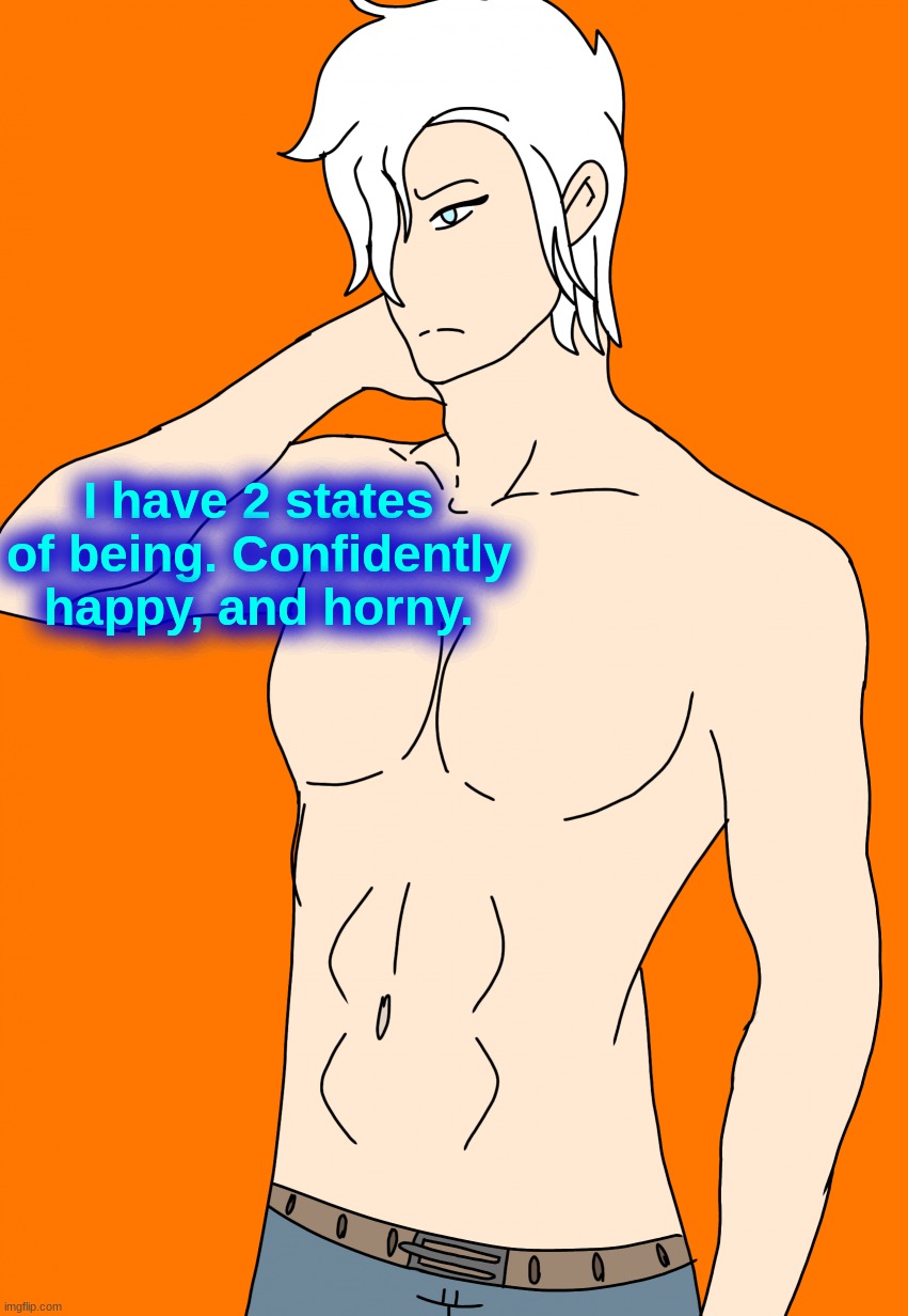 Spire's canon human design | I have 2 states of being. Confidently happy, and horny. | image tagged in spire's canon human design | made w/ Imgflip meme maker