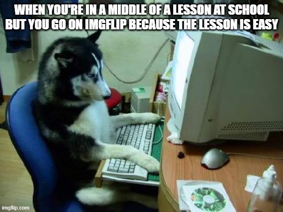 dog on computer | WHEN YOU'RE IN A MIDDLE OF A LESSON AT SCHOOL BUT YOU GO ON IMGFLIP BECAUSE THE LESSON IS EASY | image tagged in dog on computer | made w/ Imgflip meme maker