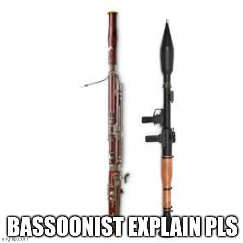 why is it built like that |  BASSOONIST EXPLAIN PLS | image tagged in band | made w/ Imgflip meme maker