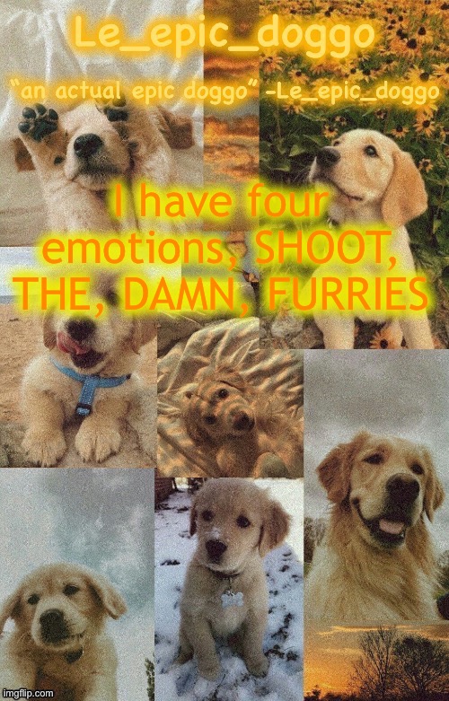 Doggo temp by doggo. Wait what that’s confusing | I have four emotions, SHOOT, THE, DAMN, FURRIES | image tagged in doggo temp by doggo wait what that s confusing | made w/ Imgflip meme maker