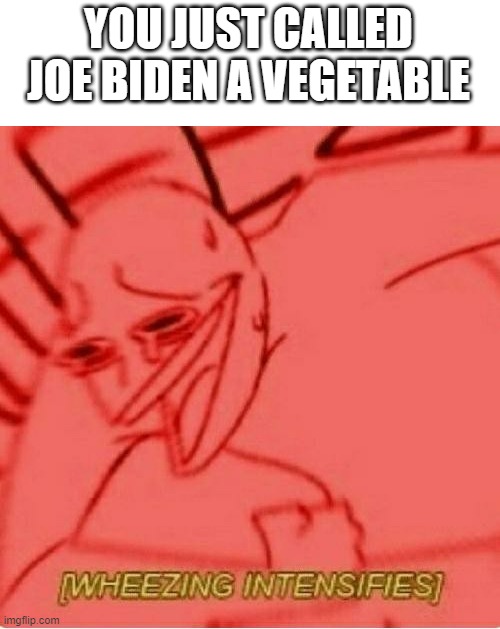 Wheeze | YOU JUST CALLED JOE BIDEN A VEGETABLE | image tagged in wheeze | made w/ Imgflip meme maker