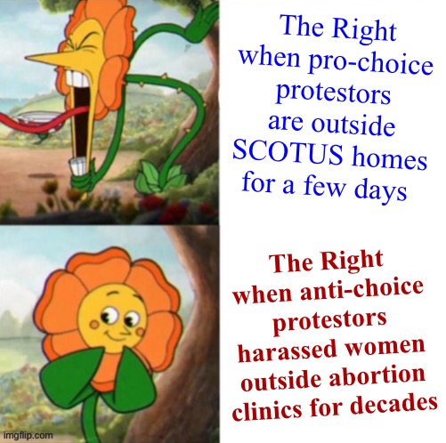 Yelling sunflower fixed textboxes | The Right when pro-choice protestors are outside SCOTUS homes for a few days; The Right when anti-choice protestors harassed women outside abortion clinics for decades | image tagged in yelling sunflower fixed textboxes | made w/ Imgflip meme maker