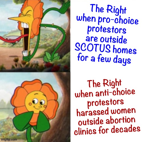 Let's give SCOTUS every ounce of respect that the countless women who accessed their basic rights received for decades. | The Right when pro-choice protestors are outside SCOTUS homes for a few days; The Right when anti-choice protestors harassed women outside abortion clinics for decades | image tagged in yelling sunflower fixed textboxes,conservative hypocrisy,abortion,womens rights,hypocrites,scotus | made w/ Imgflip meme maker