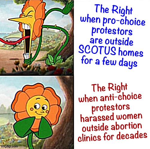 Let's give this SCOTUS every bit as much respect as the countless women who accessed their basic rights received for decades. | The Right when pro-choice protestors are outside SCOTUS homes for a few days; The Right when anti-choice protestors harassed women outside abortion clinics for decades | image tagged in yelling sunflower fixed textboxes | made w/ Imgflip meme maker