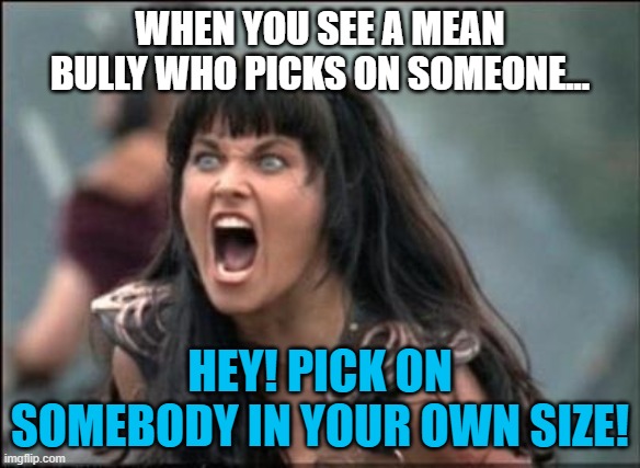 How To Stop A Bully | WHEN YOU SEE A MEAN BULLY WHO PICKS ON SOMEONE... HEY! PICK ON SOMEBODY IN YOUR OWN SIZE! | image tagged in angry xena,bullying,stop it,funny | made w/ Imgflip meme maker