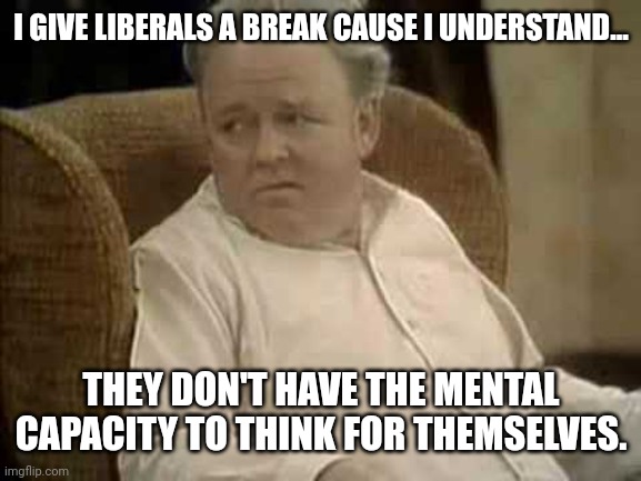 Who on here really gives a shit? | I GIVE LIBERALS A BREAK CAUSE I UNDERSTAND... THEY DON'T HAVE THE MENTAL CAPACITY TO THINK FOR THEMSELVES. | image tagged in who on here really gives a shit | made w/ Imgflip meme maker
