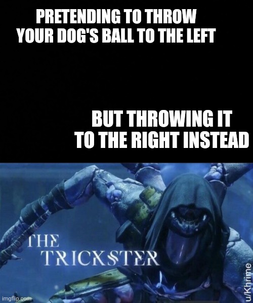 Skill | PRETENDING TO THROW YOUR DOG'S BALL TO THE LEFT; BUT THROWING IT TO THE RIGHT INSTEAD | image tagged in dog,the trickster,animal | made w/ Imgflip meme maker