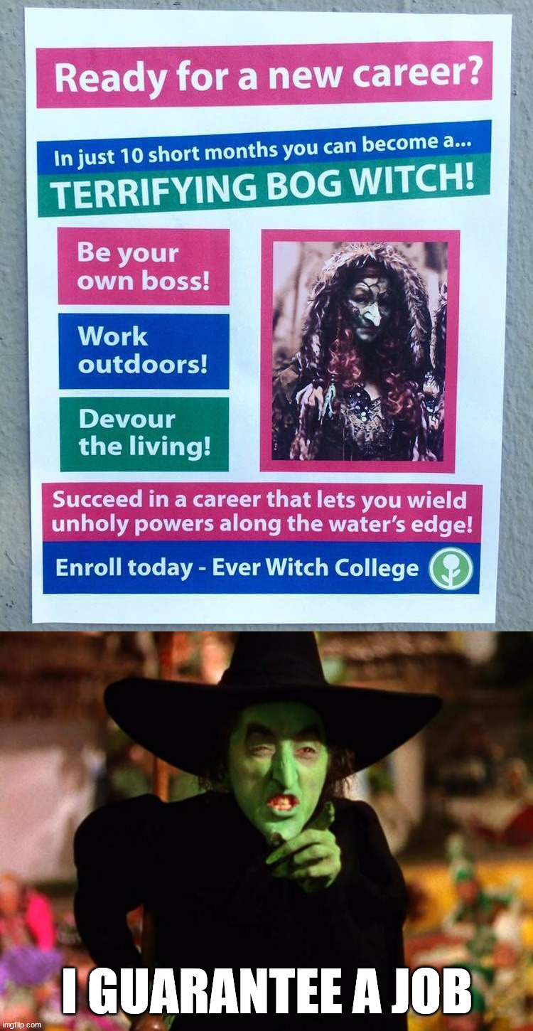 I GUARANTEE A JOB | image tagged in wicked witch,fake | made w/ Imgflip meme maker