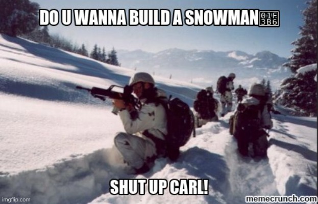 shut the f*ck up carl!! | image tagged in shut up carl,military,snow,ops | made w/ Imgflip meme maker