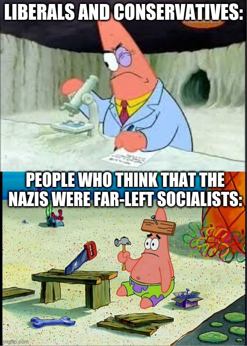 Faccs | LIBERALS AND CONSERVATIVES:; PEOPLE WHO THINK THAT THE NAZIS WERE FAR-LEFT SOCIALISTS: | image tagged in patrick smart dumb,nazis,adolf hitler | made w/ Imgflip meme maker