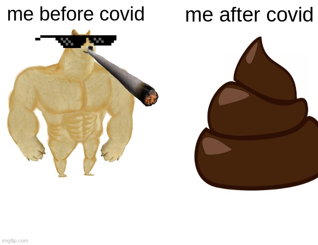 Buff Doge vs. Cheems | me before covid; me after covid | image tagged in memes,buff doge vs cheems | made w/ Imgflip meme maker